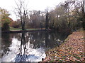 Fishing pond, Matson, Gloucester