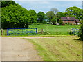 Houses at West Tisted