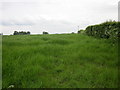 Footpath to Wallington