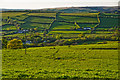 North Devon : Countryside Scenery