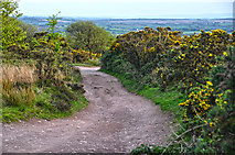 SS8528 : North Devon : Exmoor - Two Moors Way by Lewis Clarke