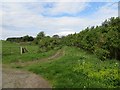 NU1031 : Farm track, Warenton by Richard Webb