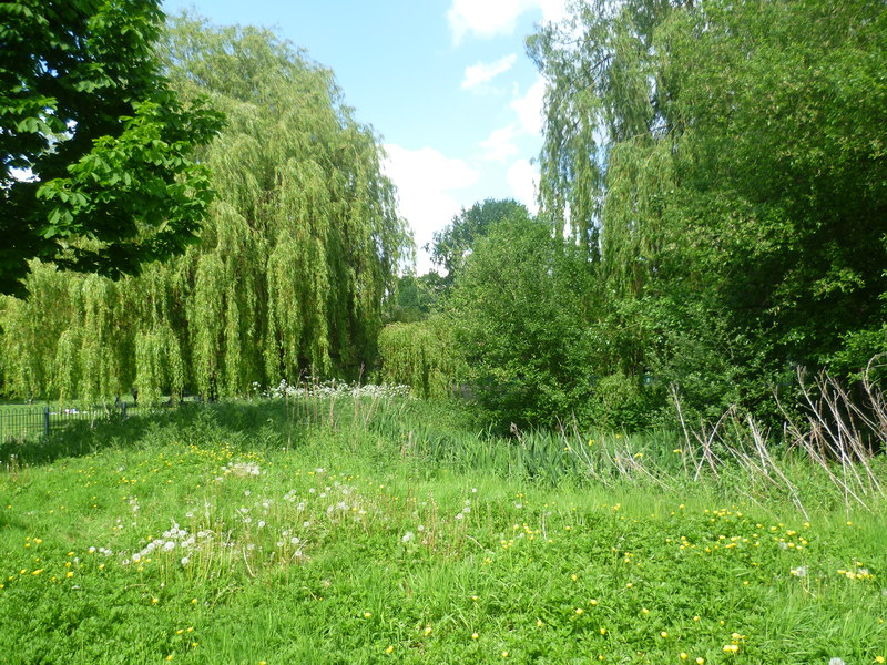 In Rosebery Park, Epsom © Marathon :: Geograph Britain and Ireland