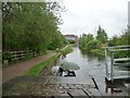 Rainy day angler, Chadderton