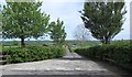 Farm access lane off the Carrickananny Road, Belleek