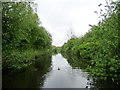 SD8902 : The Rochdale Canal, south of Wrigley Head Bridge by Christine Johnstone