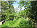 Bridge over Thornton Beck west of Woodfield Farm