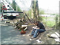 Brake in tree work near Black Cock Caerphilly