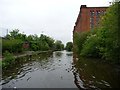 Rubbish on the Rochdale Canal, Miles Platting