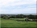 Farmland above Tullybrannigan Road