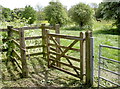 Gate to the meadows