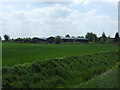 TF4211 : Farmland off Gorefield Road by JThomas