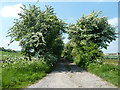 Track from Court Hill Road to Warborough Road