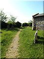 TM4888 : St.Andrew's Church path by Geographer