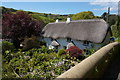 Thatched Cottages