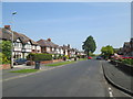 Whinmoor Gardens - viewed from Whinmoor Court