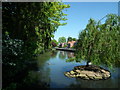 Walkington Mere and "boardwalk"