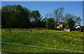 Field on the outskirts of Maltby