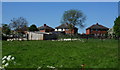 Allotments in Maltby