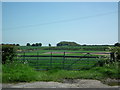 Fields at the side of Comberdale Hill