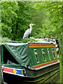 Narrowboat with heron at Greensforge, Staffordshire