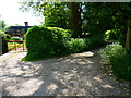 Footpath leaves lane at West Meon Woodlands