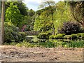 SJ7481 : Bridge and Japanese Garden, Tatton Park by David Dixon