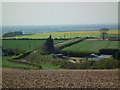 From Whin Lane towards the North Newbald Road