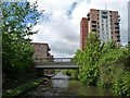 Bridge 9A, Ashton Canal, from the east