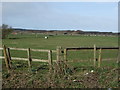 Grazing, Formby