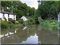 The Dingle at Lymm