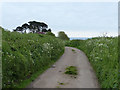 Lane to Monks Wall