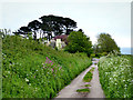 Lane leading to Monks Thatch