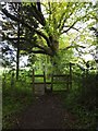 Stile on the edge of Kiln Wood