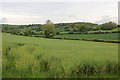 Rape field near White House Farm