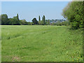 Fields near Peasmarsh