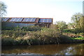 Solar panels by the canal