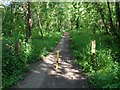 Cycle path near Broadford