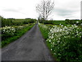 Drumragh Road, Drumconnelly