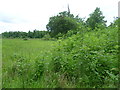 Field next to Horton Lane