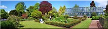 SX9063 : Torre Abbey, Gardens by Len Williams