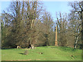 SP3747 : Obelisk memorial to Lieut. Col. F. S. Miller, former Radway Grange estate below Edgehill: 4 by Robin Stott
