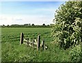 Green Fields by the Phoenix Trail