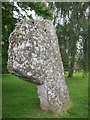 ST5963 : Right beside the Druid's Arms pub in Stanton Drew is this magnificent Neolithic stone object known as The Cove by Dr Duncan Pepper