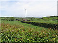 11kv Powerlines east of the Carrickananny Road