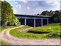 SJ5297 : Carr Mill Railway Viaduct by David Dixon