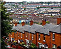 Derry - Medieval Walled City - View of  Bogside Area