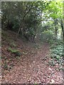 Footpath into the woods on Midhurst Common