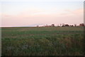 Farmland, Tuddenham