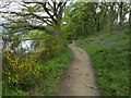 West Highland Way heading North from Balmaha (2)